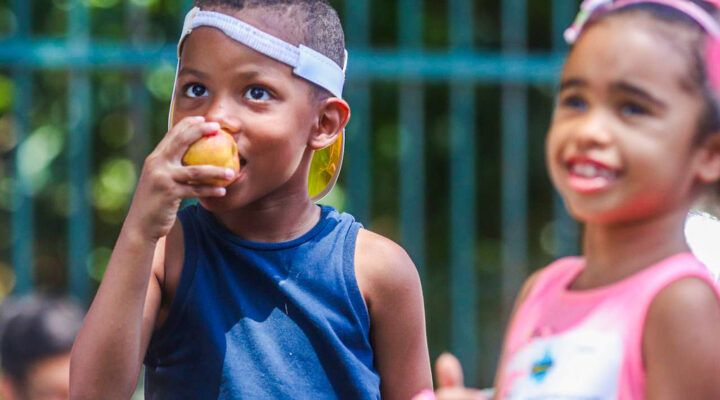 Bahia Sem Fome: Um Banquete de Esperança